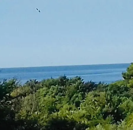 Apartman Ivana Porec