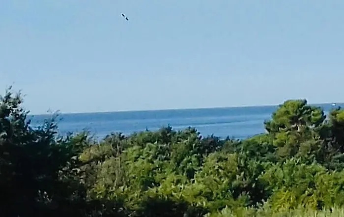 Lejlighed Ivana,mali Maj Poreč